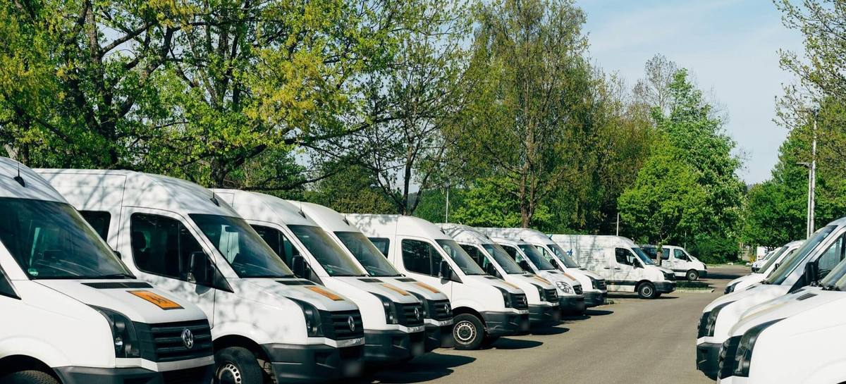 Eine lange Reihe weißer Transporter steht bei Tageslicht auf einem Parkplatz unter Bäumen.